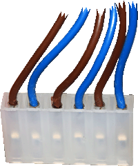 fr modena 80e con x6.gif